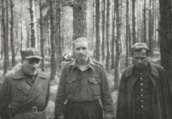 Wiktorowski
