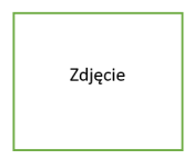 Niemiec