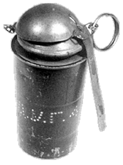 Królewska16